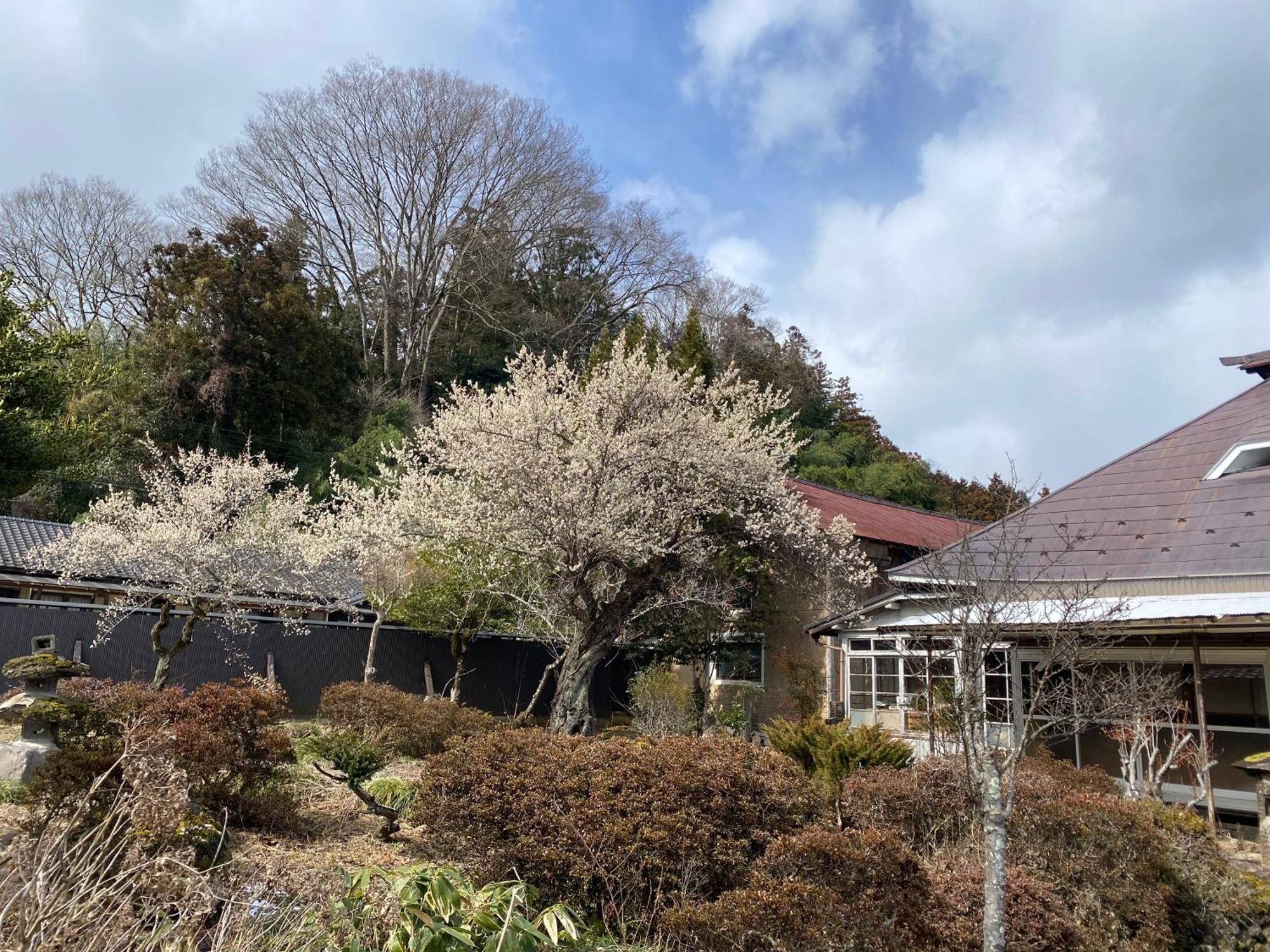 白石市 Takeyashiki たけやしき旅馆 外观 照片
